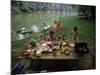 Family at a Picnic-null-Mounted Photographic Print