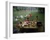 Family at a Picnic-null-Framed Photographic Print