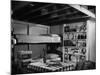 Family Basement Fallout Shelter-null-Mounted Photo