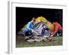 Family Camping Trip-null-Framed Photographic Print