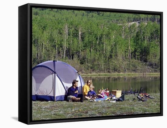 Family Camping-null-Framed Stretched Canvas