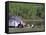 Family Camping-null-Framed Stretched Canvas