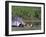 Family Camping-null-Framed Premium Photographic Print