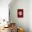 Family Crest Style Burgundy-Ikuko Kowada-Stretched Canvas displayed on a wall