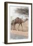 Family Dinner 3-Sheldon Lewis-Framed Art Print