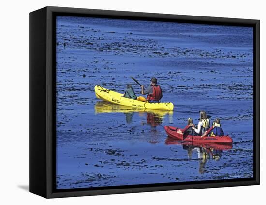 Family Exploring the Monterey Bay, California, USA-Georgienne Bradley-Framed Stretched Canvas