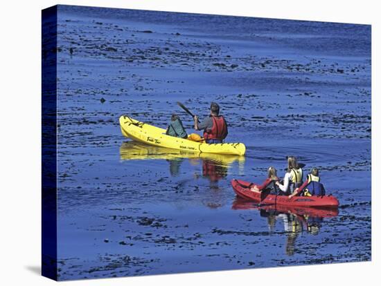 Family Exploring the Monterey Bay, California, USA-Georgienne Bradley-Stretched Canvas