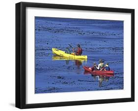 Family Exploring the Monterey Bay, California, USA-Georgienne Bradley-Framed Photographic Print