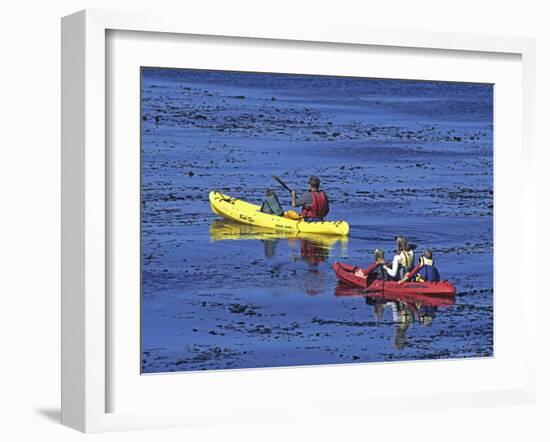 Family Exploring the Monterey Bay, California, USA-Georgienne Bradley-Framed Photographic Print