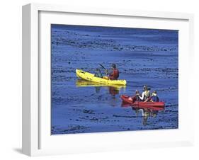 Family Exploring the Monterey Bay, California, USA-Georgienne Bradley-Framed Photographic Print