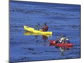 Family Exploring the Monterey Bay, California, USA-Georgienne Bradley-Mounted Photographic Print