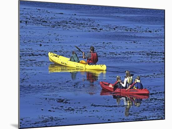 Family Exploring the Monterey Bay, California, USA-Georgienne Bradley-Mounted Photographic Print