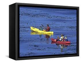 Family Exploring the Monterey Bay, California, USA-Georgienne Bradley-Framed Stretched Canvas