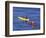 Family Exploring the Monterey Bay, California, USA-Georgienne Bradley-Framed Photographic Print