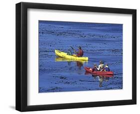 Family Exploring the Monterey Bay, California, USA-Georgienne Bradley-Framed Photographic Print