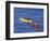 Family Exploring the Monterey Bay, California, USA-Georgienne Bradley-Framed Photographic Print