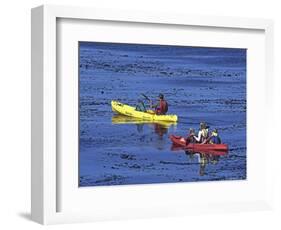 Family Exploring the Monterey Bay, California, USA-Georgienne Bradley-Framed Photographic Print