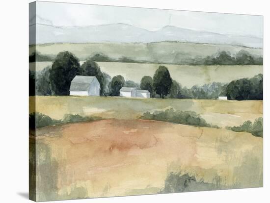 Family Farm I-Grace Popp-Stretched Canvas