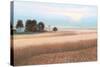 Family Farm No Couple-James Wiens-Stretched Canvas