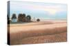 Family Farm No Couple-James Wiens-Stretched Canvas