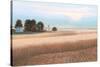 Family Farm No Couple-James Wiens-Stretched Canvas