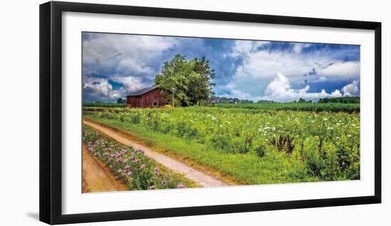 Family Farm-Celebrate Life Gallery-Framed Art Print