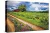 Family Farm-Celebrate Life Gallery-Stretched Canvas