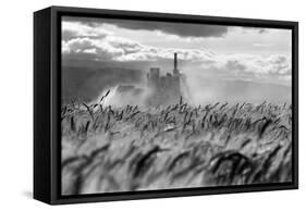 Family Farmer Ed Ker at A.M. Ker Ranch is an Agricultural Homesteader Growing Alfal..., 1961 (Photo-Ted Spiegel-Framed Stretched Canvas