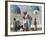 Family Feeding the Famous White Pigeons, Shrine of Hazrat Ali, Mazar-I-Sharif, Afghanistan-Jane Sweeney-Framed Photographic Print