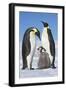 Family Gathering-Frank Krahmer-Framed Giclee Print