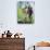 Family Hiking by a Pond-null-Photographic Print displayed on a wall