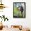 Family Hiking by a Pond-null-Framed Photographic Print displayed on a wall