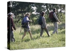 Family Hiking in The Wilderness-null-Stretched Canvas