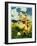 "Family in Field of Buttercups,"June 1, 1929-Haddon Sundblom-Framed Giclee Print