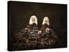 Family Is Forever Bald Eagles-Jai Johnson-Stretched Canvas