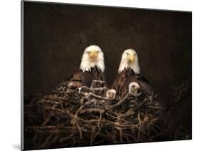 Family Is Forever Bald Eagles-Jai Johnson-Mounted Giclee Print
