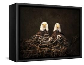 Family Is Forever Bald Eagles-Jai Johnson-Framed Stretched Canvas