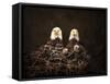 Family Is Forever Bald Eagles-Jai Johnson-Framed Stretched Canvas