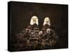 Family Is Forever Bald Eagles-Jai Johnson-Stretched Canvas