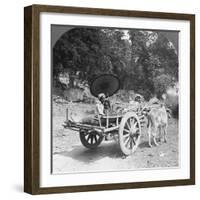 Family Journeying Through the Jungle Near Mingun, Burma, 1908-null-Framed Photographic Print