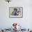 Family Looking at the Famous White Pigeons, Shrine of Hazrat Ali, Mazar-I-Sharif, Afghanistan-Jane Sweeney-Framed Photographic Print displayed on a wall