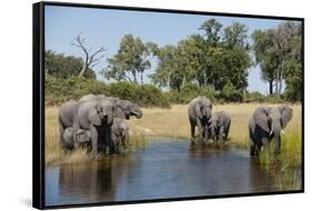 Family of African Elephants-Michele Westmorland-Framed Stretched Canvas