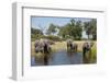 Family of African Elephants-Michele Westmorland-Framed Premium Photographic Print