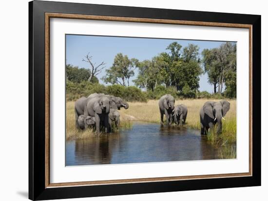 Family of African Elephants-Michele Westmorland-Framed Photographic Print