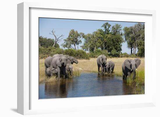 Family of African Elephants-Michele Westmorland-Framed Photographic Print