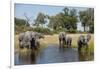 Family of African Elephants-Michele Westmorland-Framed Photographic Print