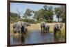 Family of African Elephants-Michele Westmorland-Framed Photographic Print