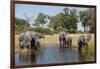 Family of African Elephants-Michele Westmorland-Framed Photographic Print