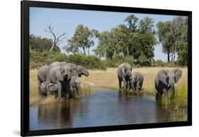 Family of African Elephants-Michele Westmorland-Framed Photographic Print