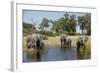 Family of African Elephants-Michele Westmorland-Framed Photographic Print